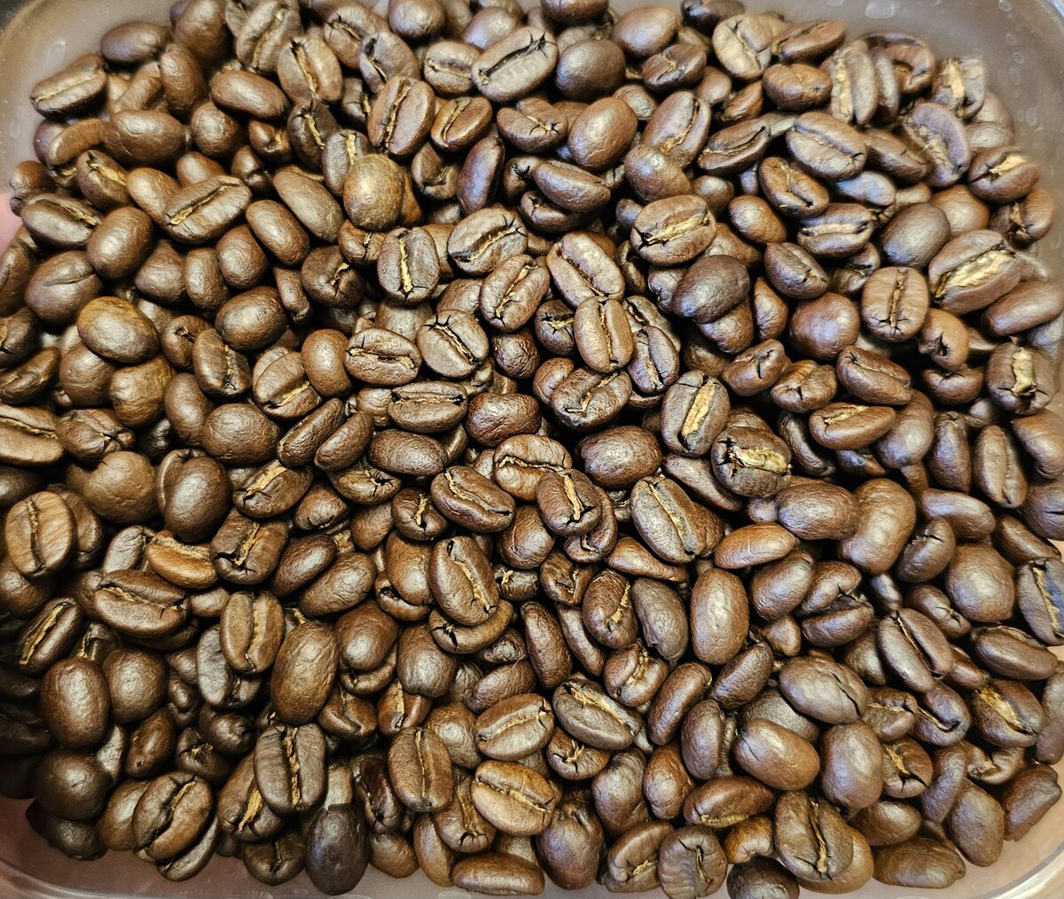 Colombia Cauca Caldono Castillo beans