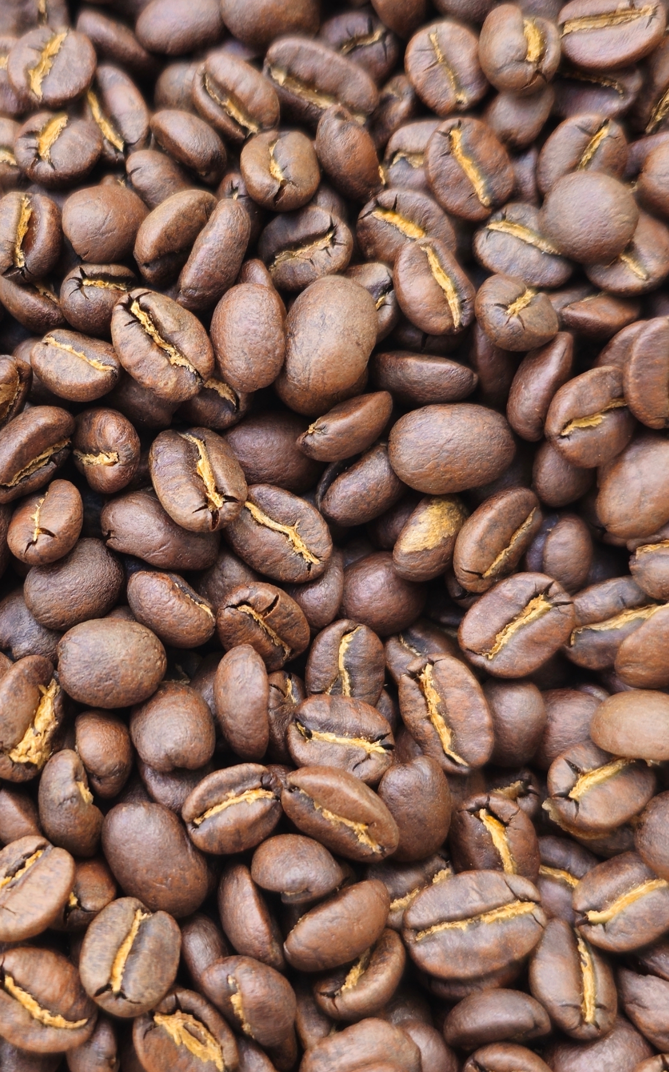 Costa Rica La Pastora roasted whole beans, close up