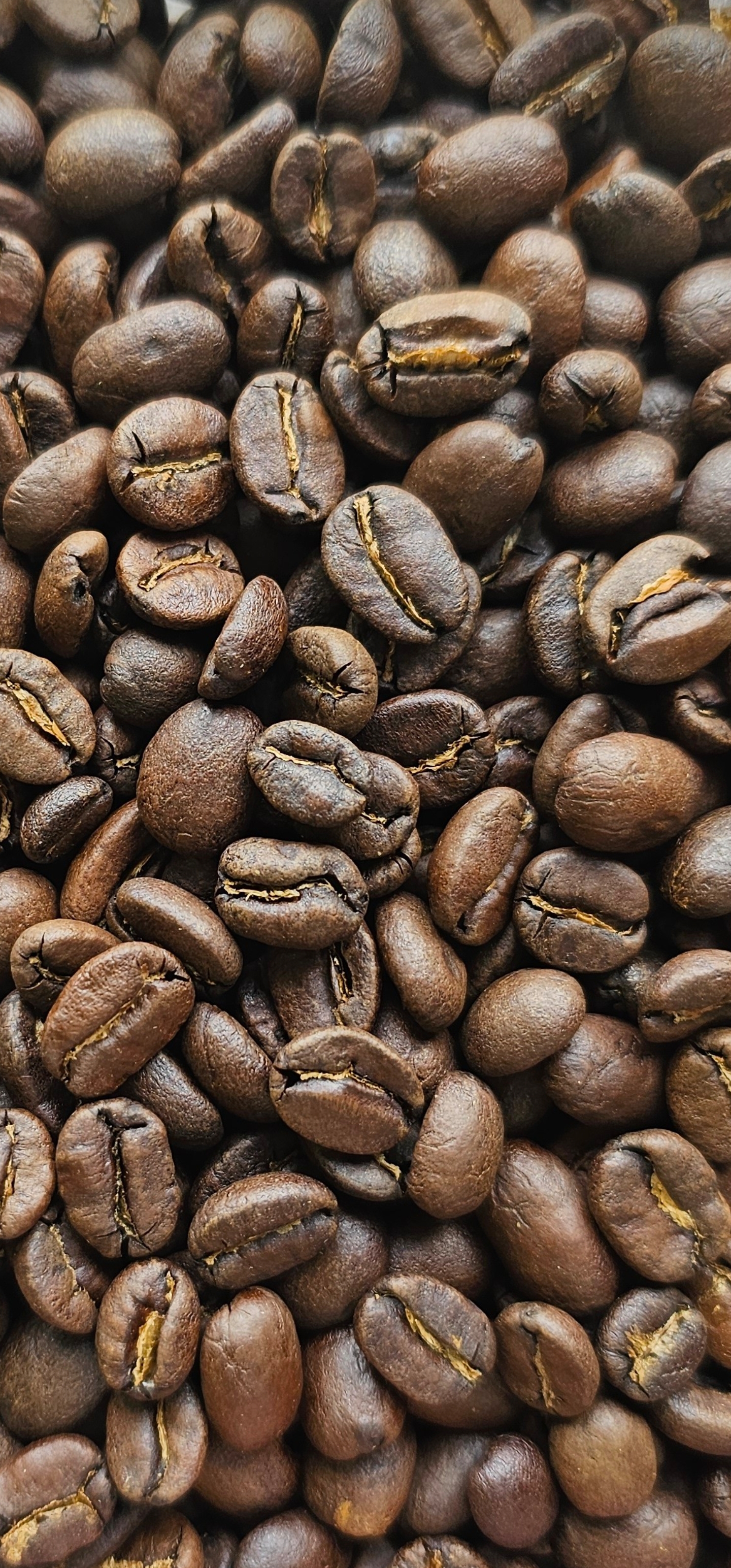 Guatemala Los Volcanes roasted whole beans, close up