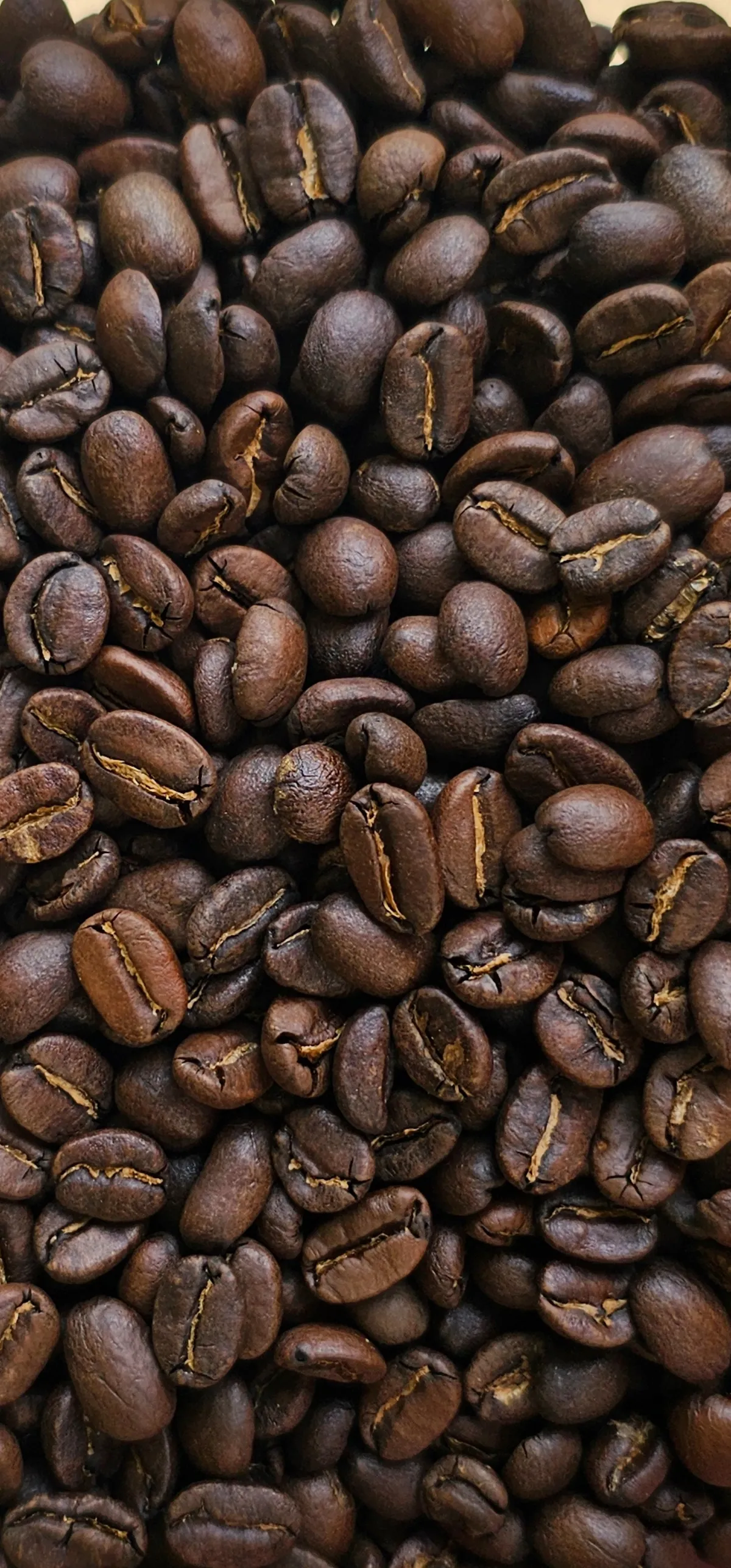 Colombia Supremo roasted whole beans, close up