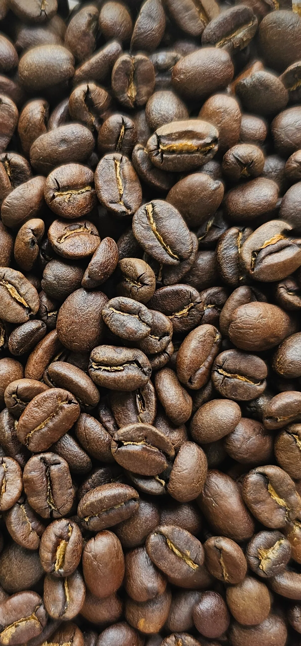 Guatemala Los Volcanes roasted whole beans, close up